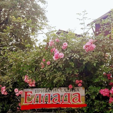 Sadyba Ellada Yaremche Luaran gambar