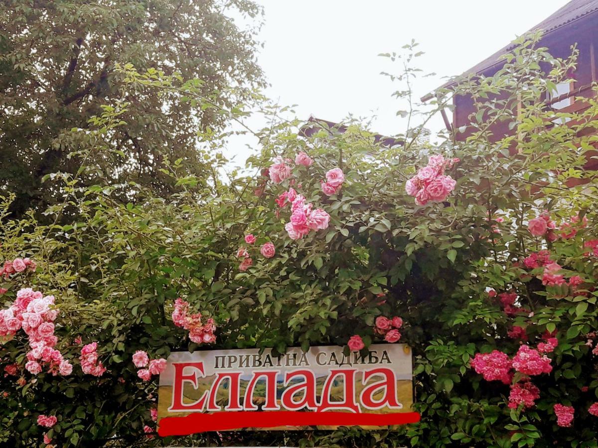 Sadyba Ellada Yaremche Luaran gambar